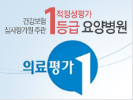 건강보험 심사평가원 주관 적정성평가 1등급 요양병원